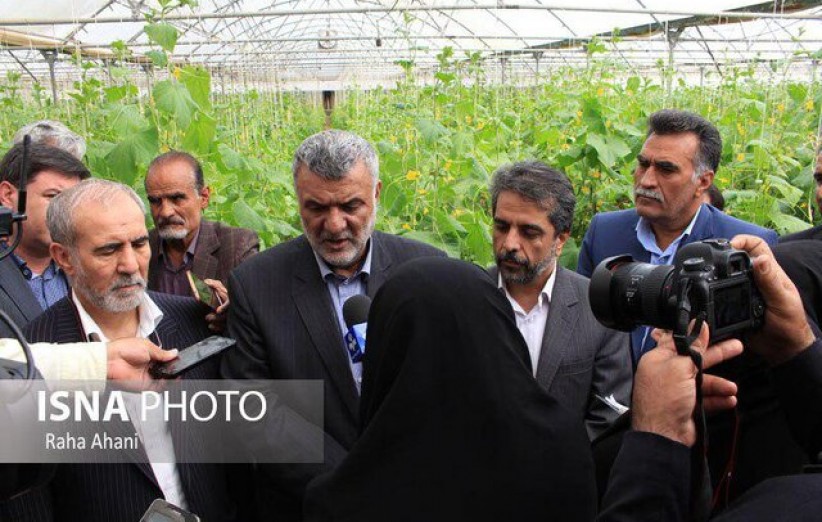 ورود به کشاورزی قراردادی/ زعفران تحت پوشش هلدینگ باشد