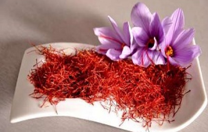 رشد ۱۵ درصدی تولید طلای سرخ در راه است